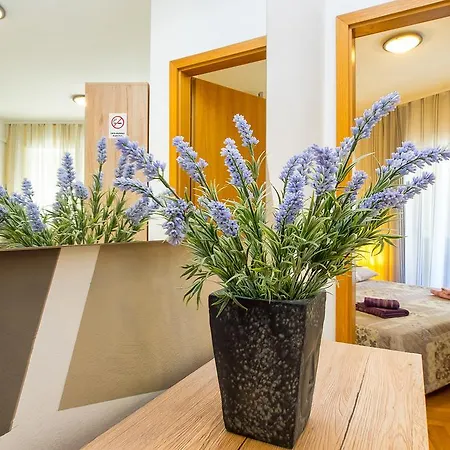 Casa de hóspedes Teta Palmina 4*